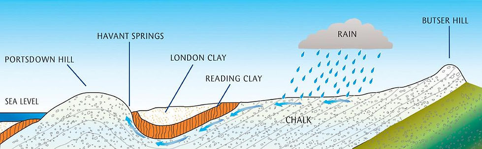 Home Cleanwater home-cleanwater